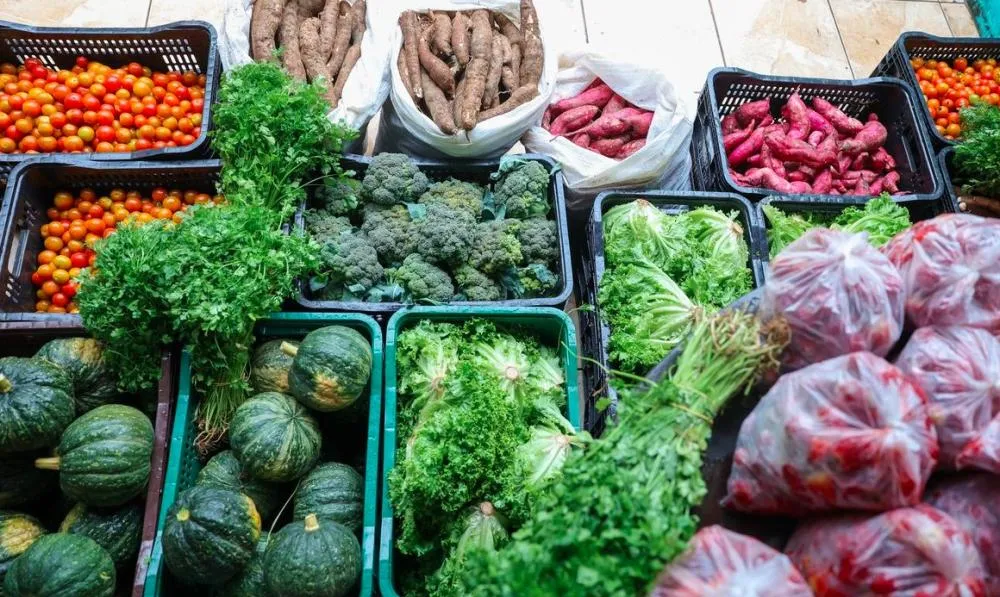 Segurança alimentar exige esforço coletivo e articulação