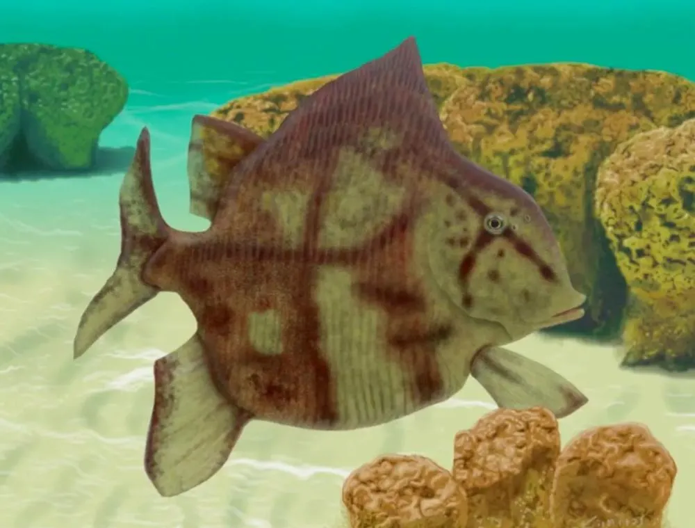 UFPI integra estudo sobre peixe que viveu há 280 milhões de anos