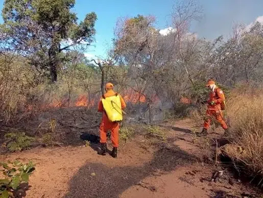 Piauí tem 86 focos de calor e 38 ocorrências de fogo ativo em um dia