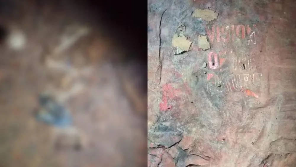 Ossada humana é encontrada em Demerval Lobão; vítima pode ser jovem desaparecido